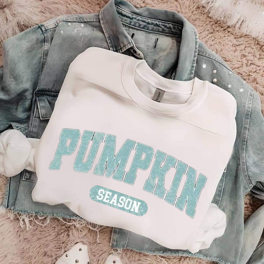 Pumpkin sweatshirt